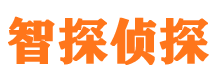 城固调查公司